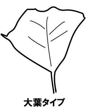 カボチャの葉 茎 根一葉が白い病気 枯れる ガーデニングサプリの壺