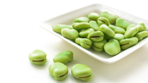 ソラマメ 空豆 の種まき方法 時期 発芽適温 発芽日数 発芽難易度 難しい 簡単 ガーデニングサプリの壺