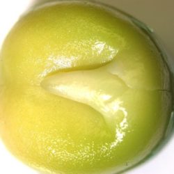スナップエンドウの種まき方法－時期、発芽適温、発芽日数、発芽難易度－難しい？簡単？