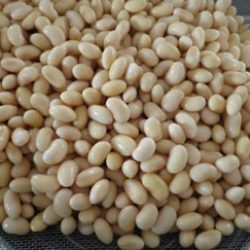 麦味噌（むぎみそ）の作り方