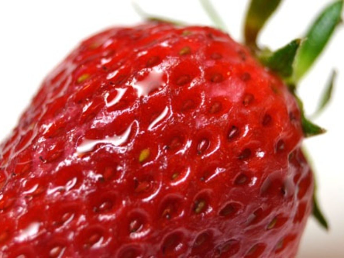 イチゴ 苺 のつぶつぶは種 ガーデニングサプリの壺