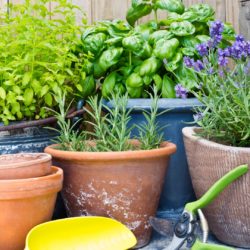 ガーデニングに適したプランターとは？