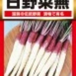 日野菜かぶの味と産地