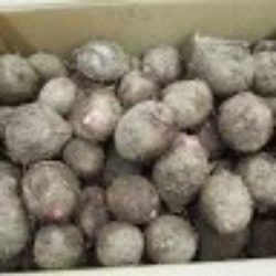 セレベスの味と産地