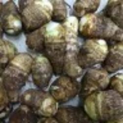 土垂の味と産地