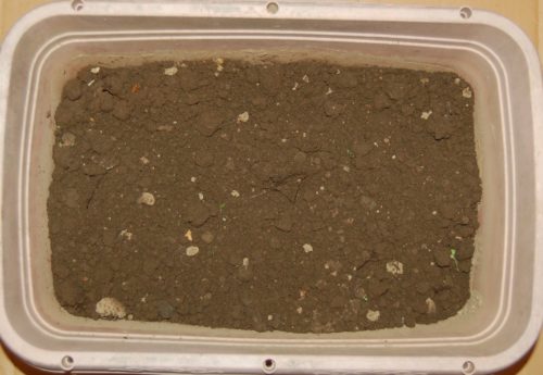 土は燃えるゴミじゃない プランターの土の再生 培養土の再利用 土作り ガーデニングサプリの壺